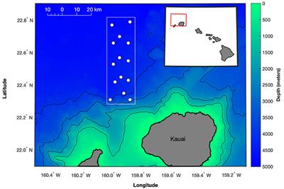 Singing Fin Whale Swimming Behavior in the Central North Pacific